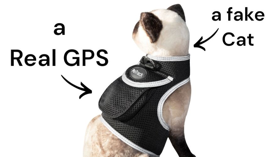 Realtime Dog Tracking GPS Universal System Pocket Pet Location Finder Size:M
